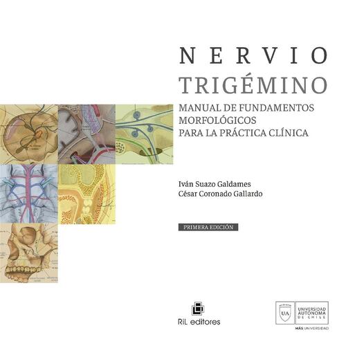 Nervio trigémino. Manual de fundamentos morfológicos para la práctica clínica