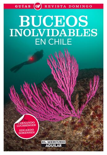 Buceos inolvidables en Chile