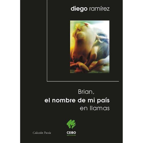 Desaparecer