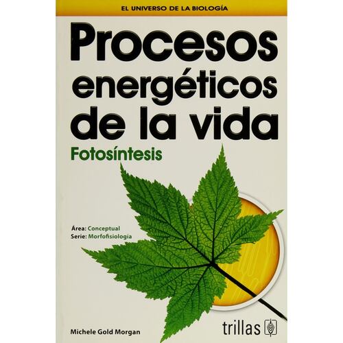 Procesos Energéticos De La Vida: Fotosíntesis