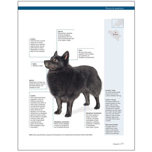 Enciclopedia de Perros de Raza