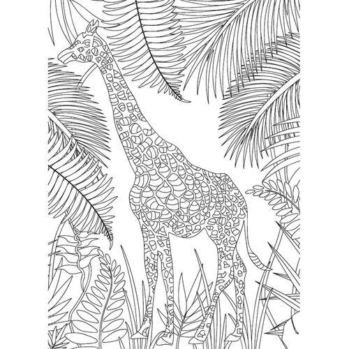 Naturaleza salvaje