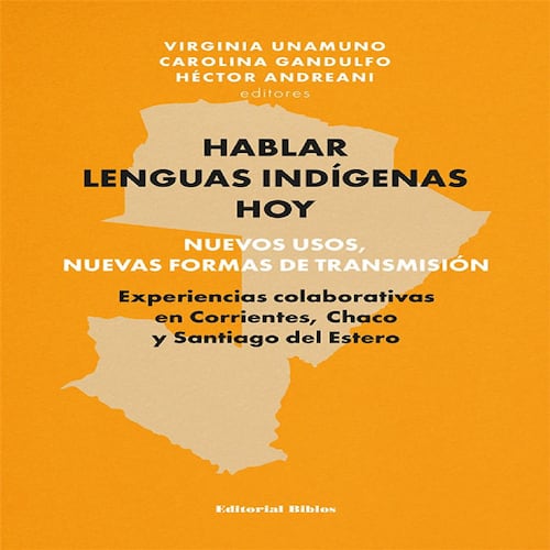 Hablar lenguas indígenas hoy: nuevos usos, nuevas formas de transmisión