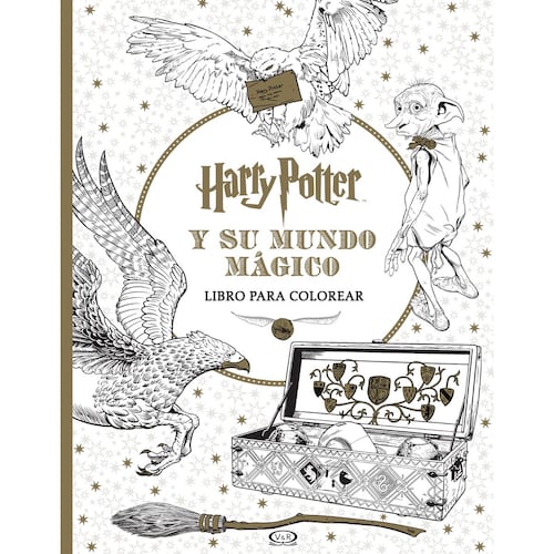 Harry Potter y su mundo mágico libro para colorear