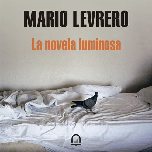 La novela luminosa