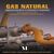 Gas natural. Comercialización de la capacidad de transporte