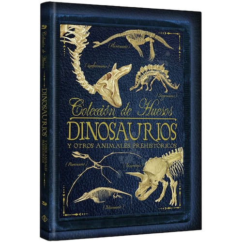 Colección de huesos- Dinosaurios