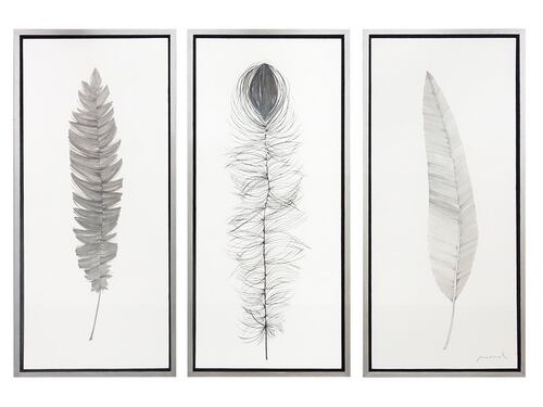 Cuadro Decorativo 1 Pieza - Plumas Naturales - Kessa.
