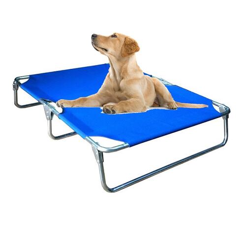 Catre Cama Perro Extra Grande Azul Plegable Mascota Pegaso
