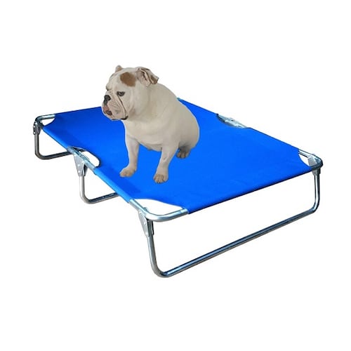 Catre Cama Perro Extra Grande Azul Plegable Mascota Pegaso