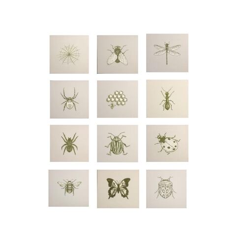 Cuadro Decorativo Sets Insectos - Kessa.