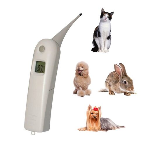Termometro Digital Veterinario Pantalla LCD Checkatek