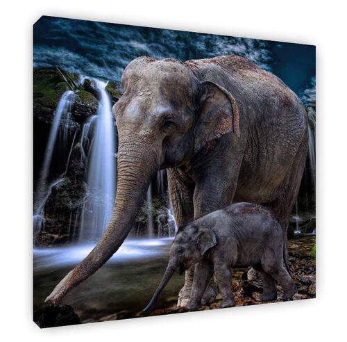 Cuadro Decorativo Canvas Elefante Mamá y bebe