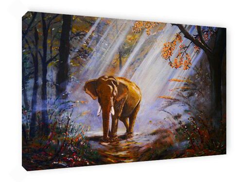 Cuadro Decorativo Canvas Elefante.