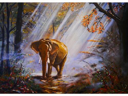 Cuadro Decorativo Canvas Elefante.