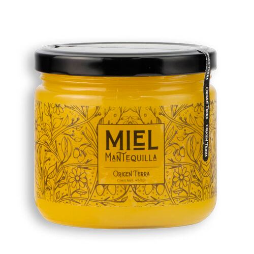 Miel de Abeja, textura a Mantequilla, Ideal para comerse con frutas y aguas 100% Natural y Mexicana - 450 g