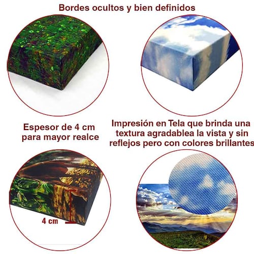 Cuadro Decorativo Canvas La Creación de Adan de Miguel Ángel, es un fresco en la bóveda de la Capilla Sixtina.