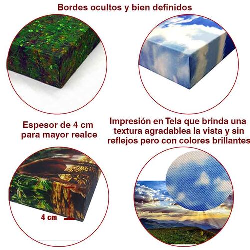 Cuadro Decorativo Canvas Aterrizaje de Avión.