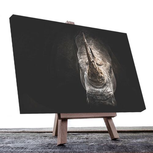 Cuadro Decorativo Canvas Rinoceronte artístico.