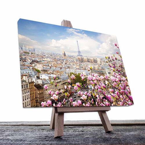 Cuadro Decorativo Canvas Hermosa Vista de Paris.