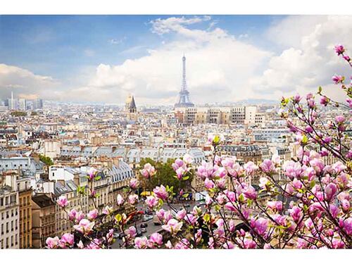 Cuadro Decorativo Canvas Hermosa Vista de Paris.
