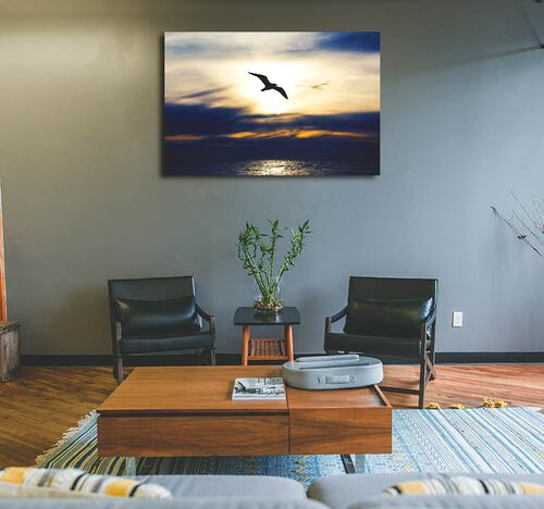 Cuadro Decorativo Canvas Gaviota en el Atardecer