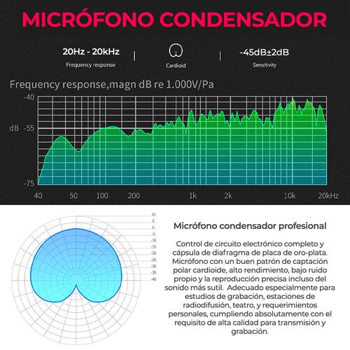 Kit Profesional Micrófono Condensador Grabación Estudio KTV.