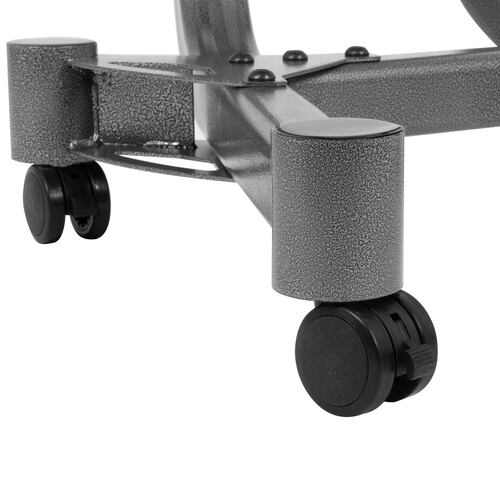 Rack para Pesas Soporte de Mancuernas Ajustables Altera para Gimnasio