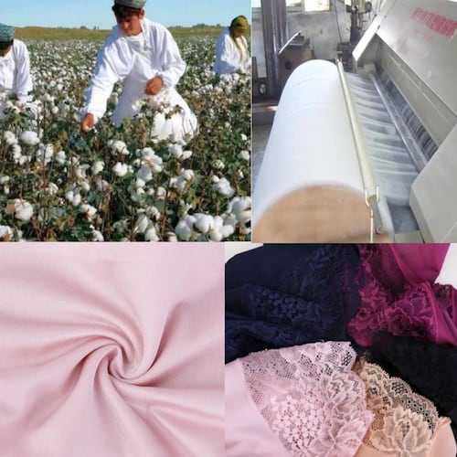 Pantaletas De Encaje Sin Costura Para Mujer, 6 Piezas.