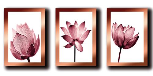 Cuadros Decorativos Set de 3 pzs Canvas de Flores 40 X 60 cm