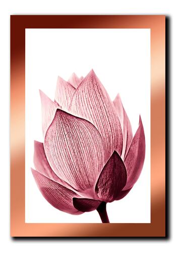 Cuadros Decorativos Set de 3 pzs Canvas de Flores 40 X 60 cm