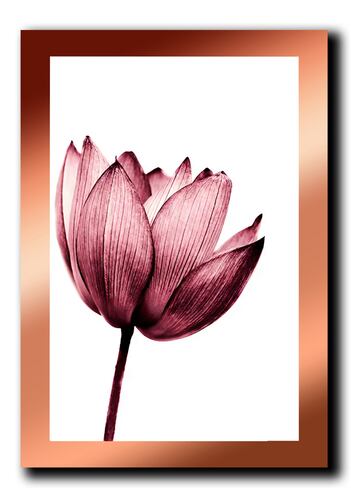 Cuadros Decorativos Set de 3 pzs Canvas de Flores 40 X 60 cm