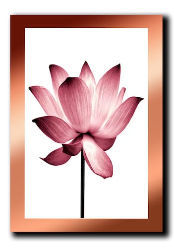 Cuadros Decorativos Set de 3 pzs Canvas de Flores 40 X 60 cm