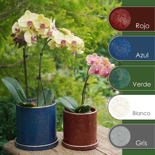 Ilios Innova Macetero borde dorado 15 cm alto, maceta de cerámica con plato de base, Elegante maceta para flores.