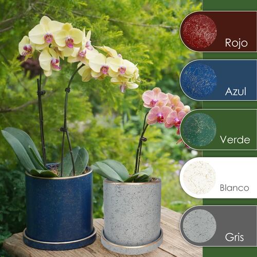 Ilios Innova Macetero borde dorado 15 cm alto, maceta de cerámica con plato de base, Elegante maceta para flores.