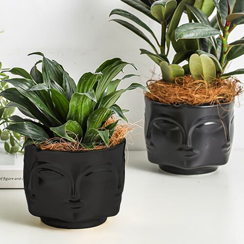 Ilios Innova Macetero minimalista con cara multifacética Maceta de cerámica con Forma de Rostro para decoración