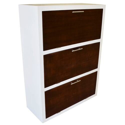 Mueble Zapatero Moderno Hasta 36 O 24 Pares Practico  Blanco Parota