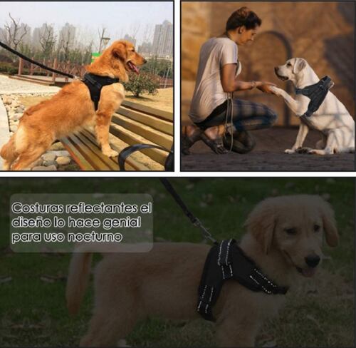 Arnés para Perro Talla S Antideslizante Negro