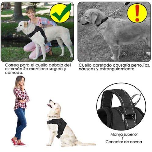 Arnés para Perro Talla S Antideslizante Negro
