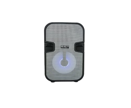 Potente Bocina Bluetooth Select Sound BT-1406N Tecnología TWS NEGRO
