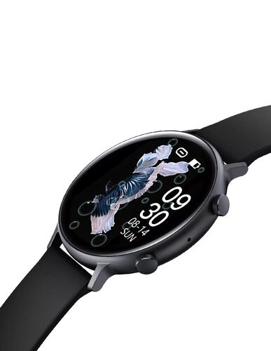 Reloj Inteligente Smartwatch Gw33 Fralugio Full Touch Ips Hd