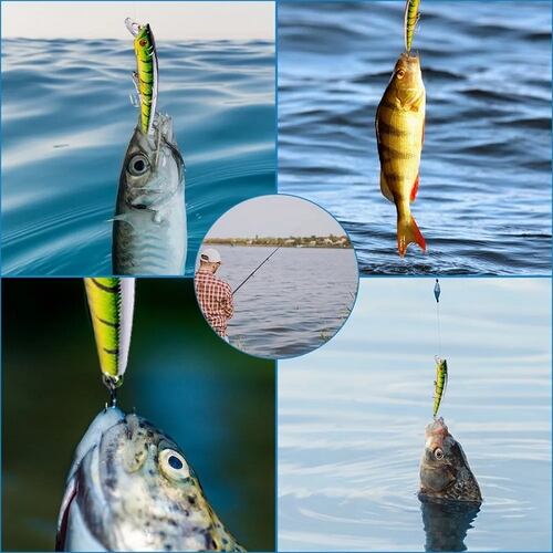 Señuelos Para Pesca Camarón De Río Realista 43 Piezas