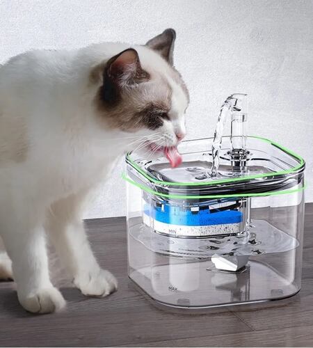 Bebedero Dispensador Auto Fuente Comedero Para Perro Gato