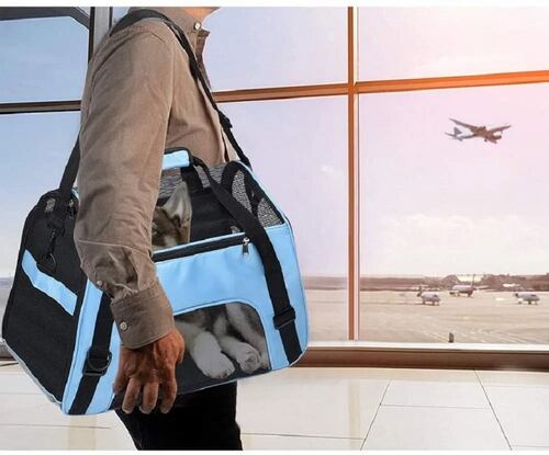 Bolsa Plegable Para Transporte De Mascota+almohadilla Felpa Azul