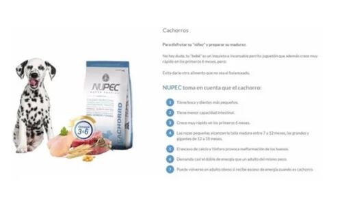 20kg Nupec Alimento Perro Croqueta Cachorros