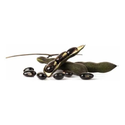 Mucuna Pruriens Adaptógeno 100g Commons Polvo 100% Orgánico