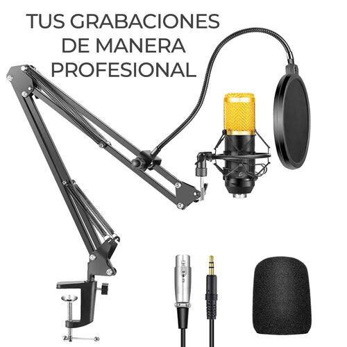 Kit Profesional Microfono Condensador Grabación Estudio ktv.