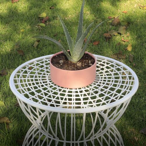 Mesa De Centro Para Exteriores, Jardín De Metal Tipo Jaula