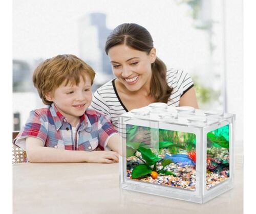 Mini Pecera Transparente Para Pez Beta Con Luz 