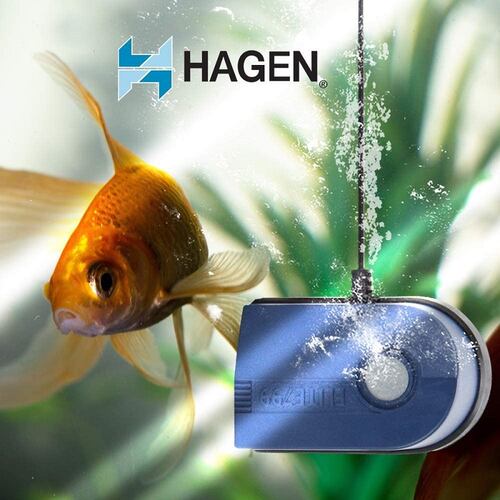 Bomba Elite 799 5 Gal (18.9 L) - Hagen 